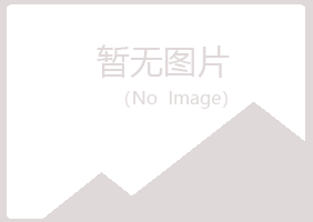 鹤岗兴山忆翠化学有限公司